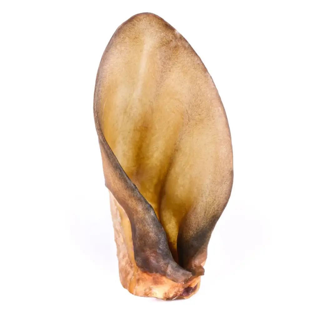 Oreille de bœuf sans poils pour chien (3 pièces)
