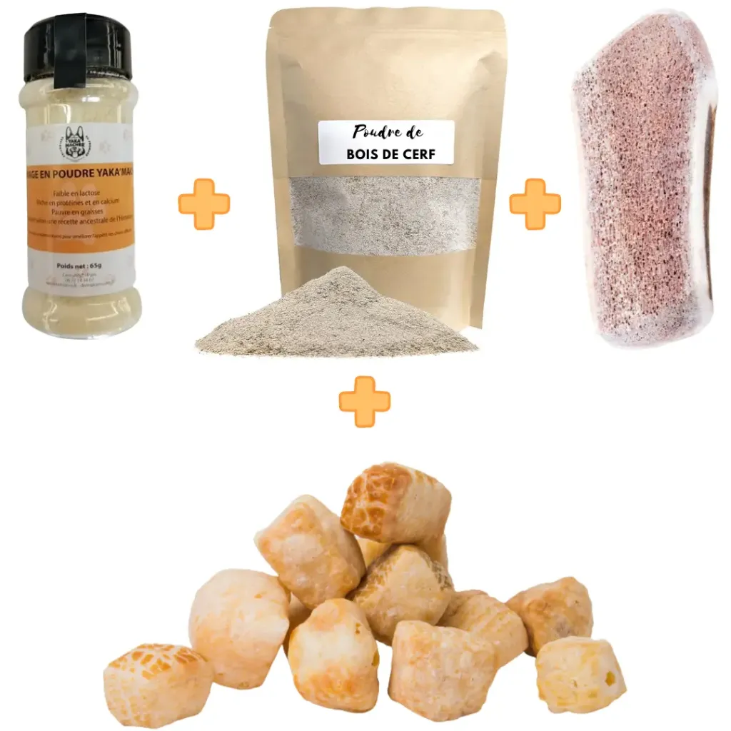 Box mastication pour chien sénior