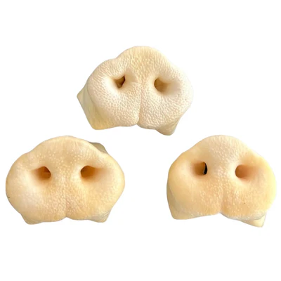 5 Groins de porc pour chien