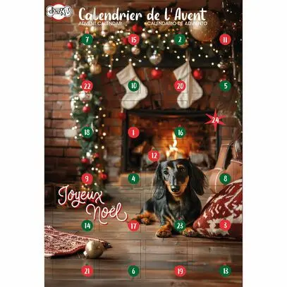 Calendrier de l'avent pour chien Doogy : 168gr